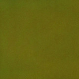 Trinity 12