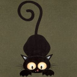 Cat Gray