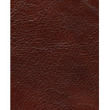 Castagna